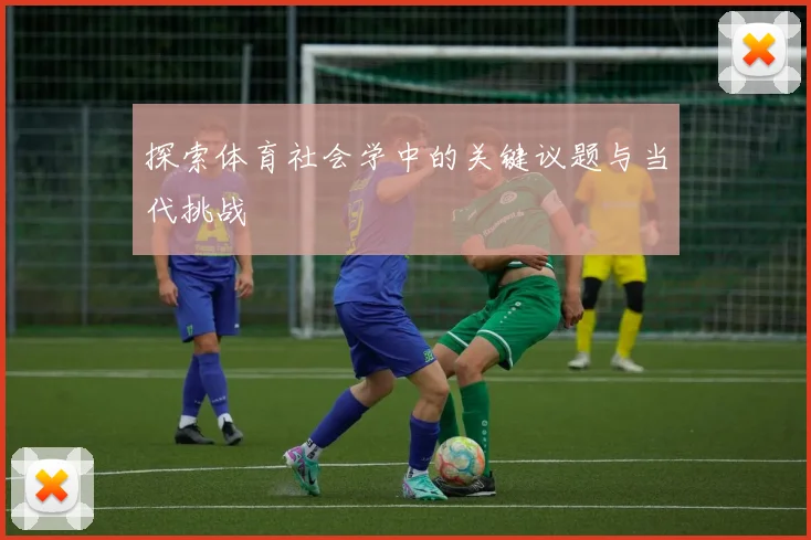探索体育社会学中的关键议题与当代挑战